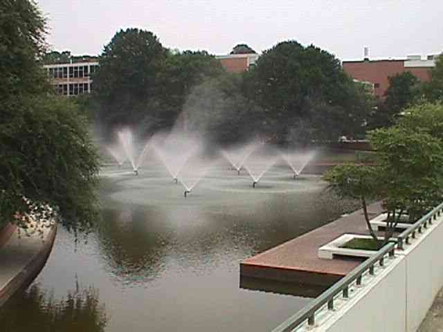 Photo taken on the campus